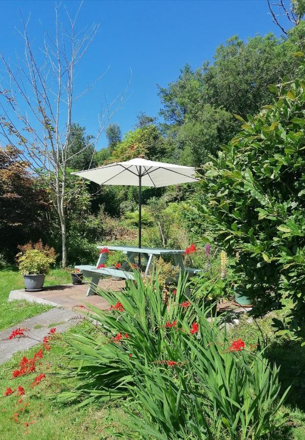 Valhalla Bnb Kenmare Exterior foto